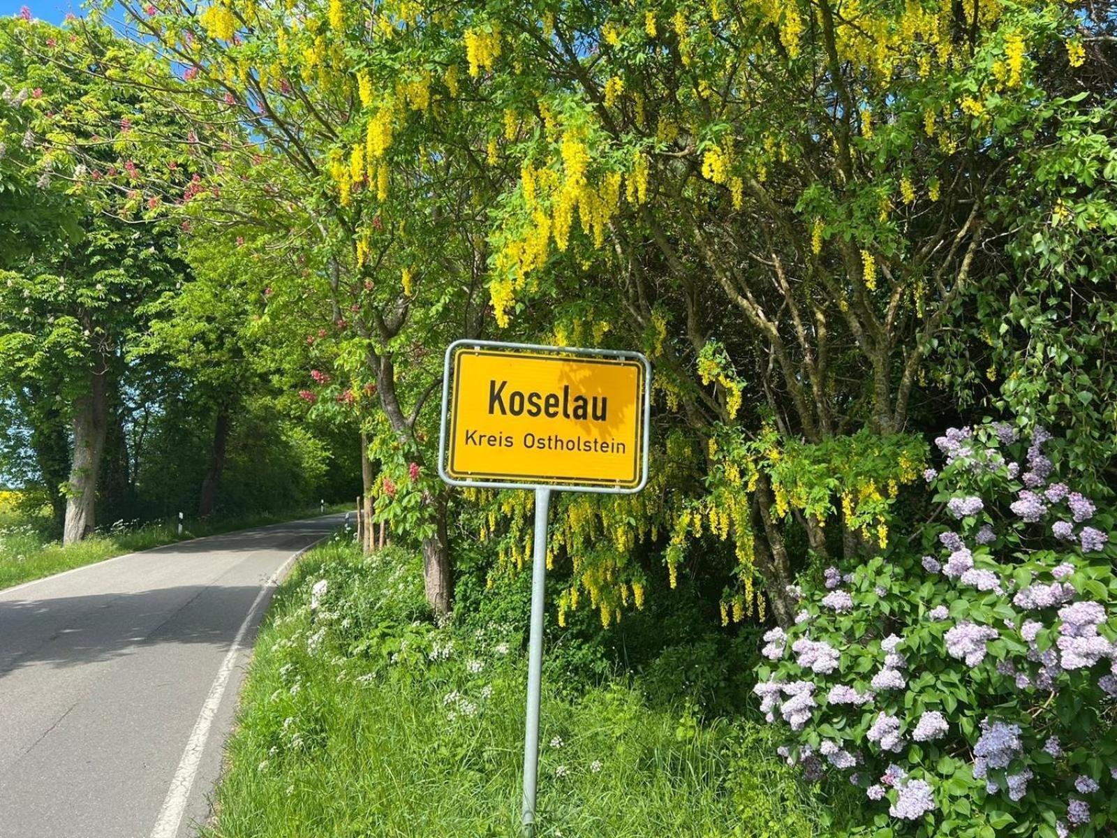 Gut Koselau Landhaus II 外观 照片